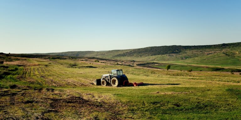 Buy Only Organic Products