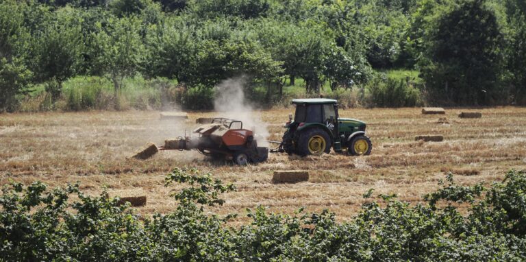 Preparing the soil as Required