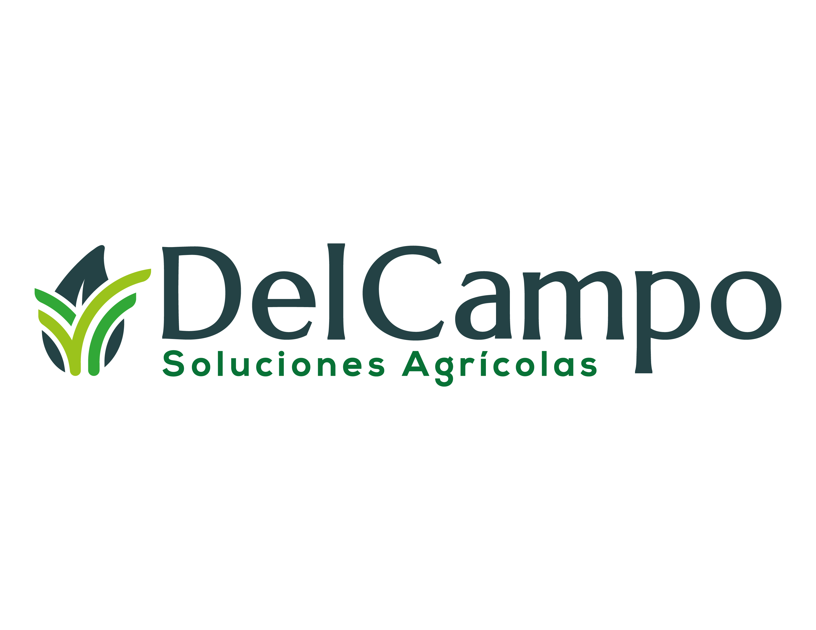 delcamposoluciones.com