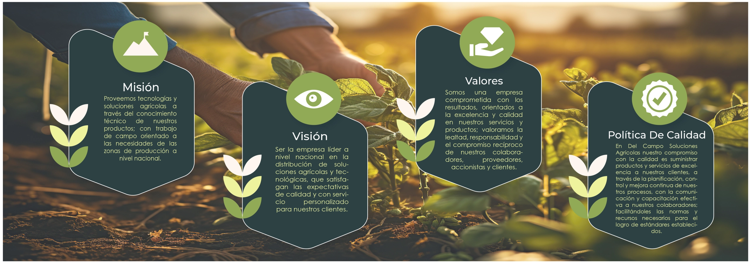 Misión, Visión, Valores y Política